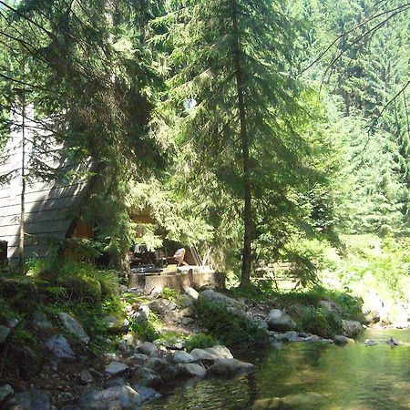 Chata Pri Potoku Zuberec Εξωτερικό φωτογραφία
